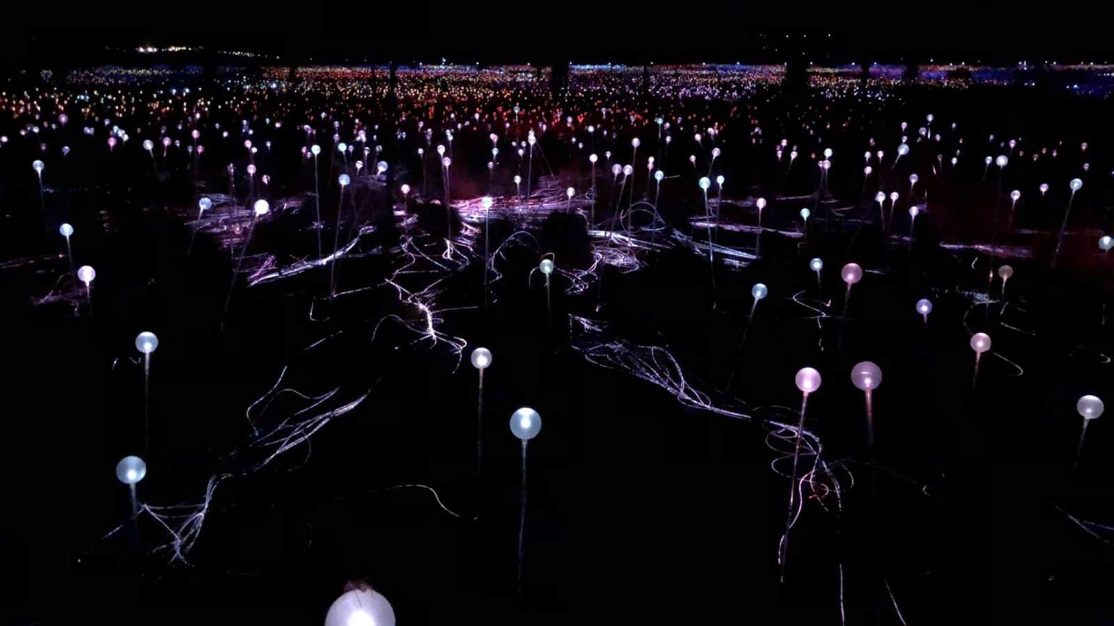field-of-lights-bucket-list