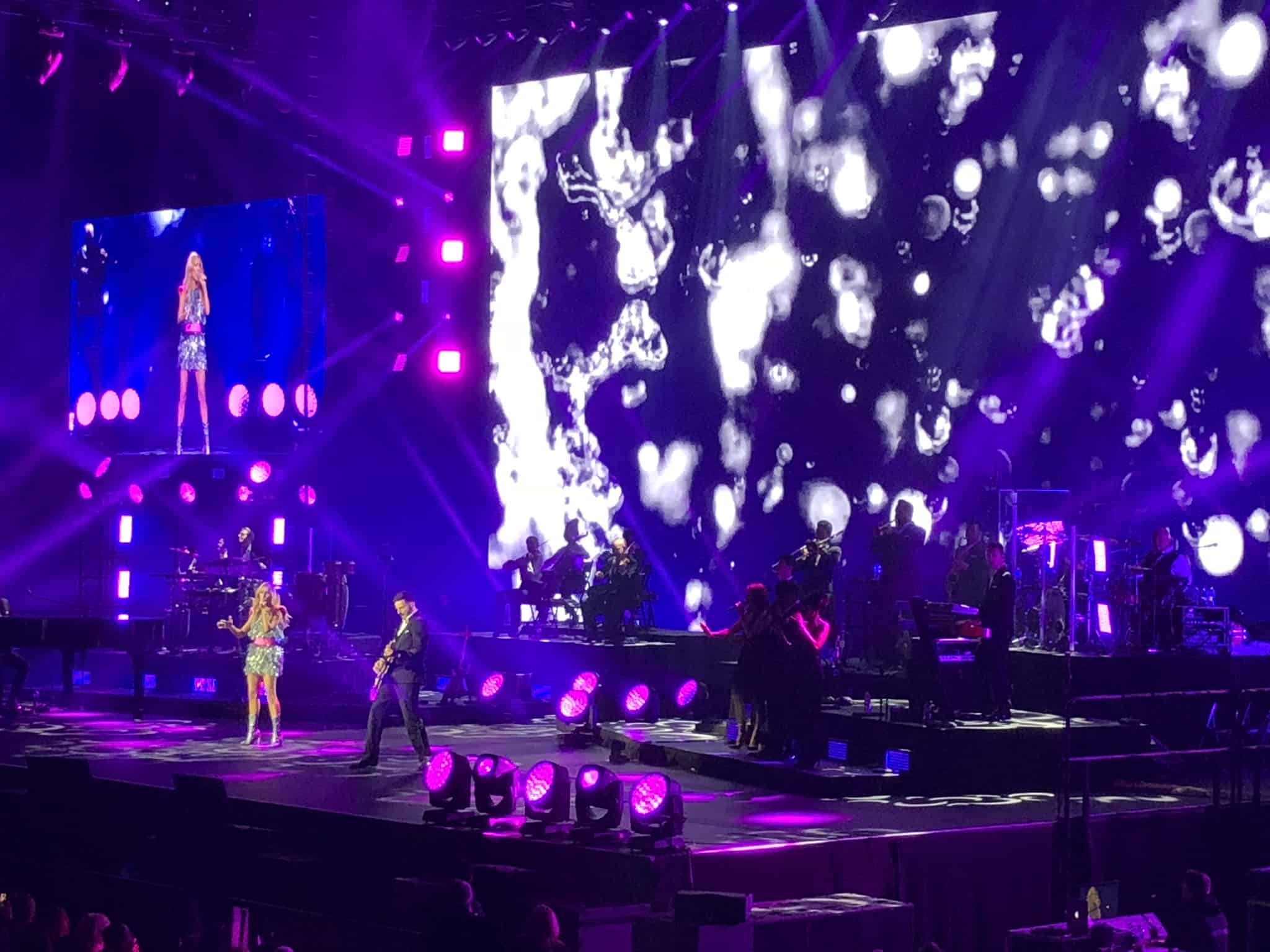 celine dion concert